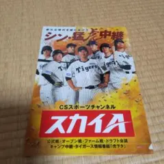 スカイA 野球選手 クリアファイル A4