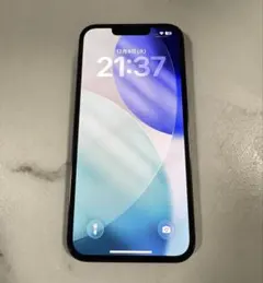 Item thumbnail for item 6540f9f8-0460-42b1-9665-942b810ce43d