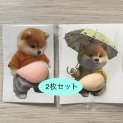 ぷにぷに感が可愛い 柴犬 おなかシール　シリコン製【2枚セット】
