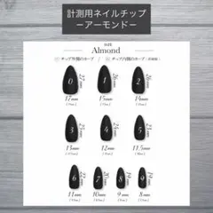 計測用ネイルチップ　アーモンド