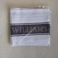 Item thumbnail for item 67f4c019-98f0-4103-b76b-1eb4baf8cdcd