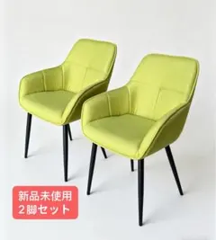 ダイニングチェア 9234GN 黄緑 2脚セット - メルカリ