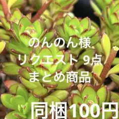 のんのん様 リクエスト 9点 まとめ商品