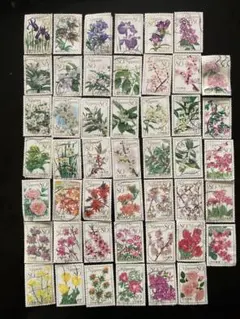 森永ハイクラウン　フラワーフェアリーカード　花の妖精　アルファベットコンプリート 森永ハイクラウン フラワーフェアリーカード 花の妖精 アルファベット