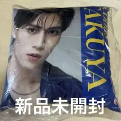 BUDDiiS TAKUYA クッション ロゴクッション 大槻拓也