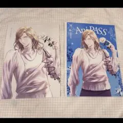 カミュ　藍　アニパス