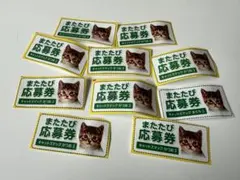 캣츠맥 마타비 신청권 10장 세트