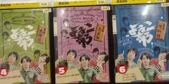 よゐこ部 DVD 4・5・6巻セット
