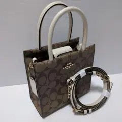 Item thumbnail for item a989f429-daaa-464f-bb51-efe364d5140a