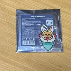 ぷ*ん様 TXT PPULBATU ご当地プルバトゥ アクリルバッヂ 東京 ファ