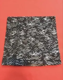 Item thumbnail for item 5624cb91-aaf7-4bce-8175-2fbd500aeb81