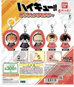 ハイキュー!! めじるしアクセサリー ひなた　月島