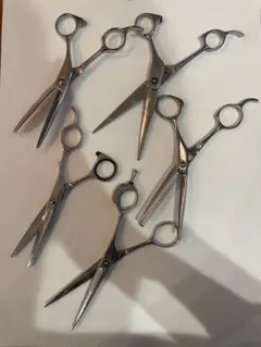 Item thumbnail for item 8cc7b34d-8e40-4e88-8736-69512d9cb7f5