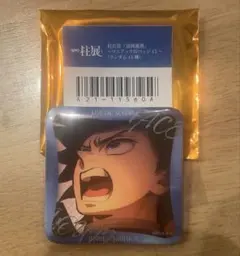 鬼滅の刃 柱展 柱百景 マニアック 缶バッジ 冨岡義勇