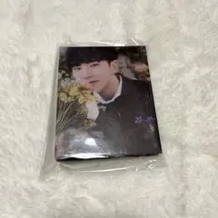 SEVENTEEN セブチ FML バインダー　carat盤  ホシ