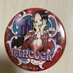 ワンピース 輩缶バッジ ボア・ハンコック