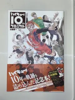 【美品】ハイキュー!! 10th クロニクル 全部セット