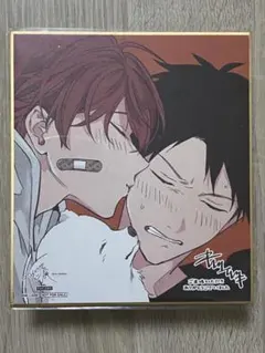 ギヴン展 ENCORE 入場特典 色紙 りつまふ