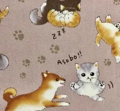 Item thumbnail for item 63ef3757-369a-403e-93bb-a46c5cbeb561