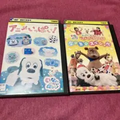 【レンタル落ち】NHKいないいないばあっ！DVD 2枚セット