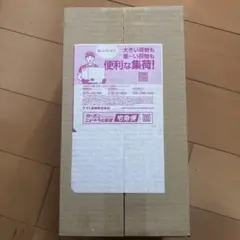 新品未開封】ポケモンセンター フクオカ スペシャルボックス