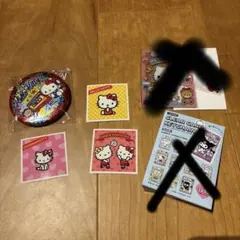 サンリオキャラクターズ　キラキラビッグ缶バッジ2【シール付】
