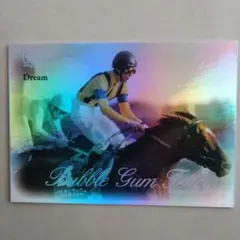 VICTORY 2000，バブルガムフェロー【3点300円】