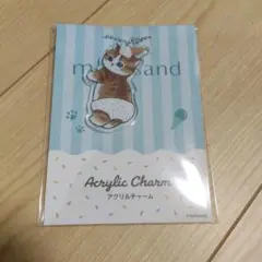 mofusand ファミマ　アクリルチャーム 猫とアイスクリーム