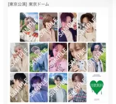 【新品未開封】SEVENTEEN東京来場者トレカ13枚コンプWeverse