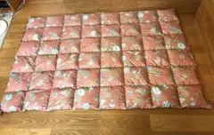 パラディース 東京西川 アイダーダックダウン100% シングルサイズ 800g