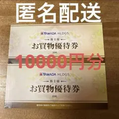 ヤマダ電機　株主優待券　割引券 5000円✕２冊 10000円分