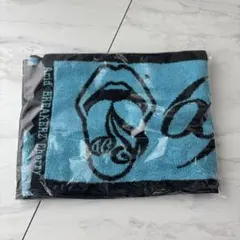 Item thumbnail for item 2a163280-ee58-4eb1-8f30-9b6916b98ff0