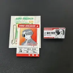 WIND BREAKER 蘇枋 アクリルバッジ キーホルダー