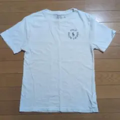 Polo Ralph Lauren ホワイト Tシャツ