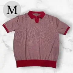 【極美品】DoCLASSE ドゥクラッセ ニットポロシャツ M ボーダー　赤のサムネイル