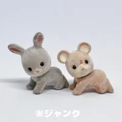 Item thumbnail for item 9b4957fd-974c-4381-9388-dc1ef6425b8c