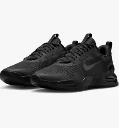 NIKE AIR MAX ALPHA TRAINER 5 ブラックのサムネイル