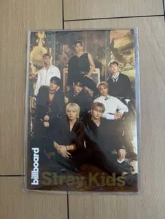 Stray Kids Billboard Magazine