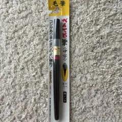 新品 筆ペン ぺんてる筆 中字 XFL2L