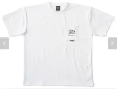 Item thumbnail for item 5b7cb618-f923-41fd-9966-7c42a82cf80c