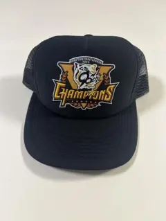 Item thumbnail for item 71048966-caf3-43ae-996e-43ff135c791b