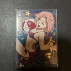 万能文化猫娘 ヌクヌク カードダスマスターズ キャンペーン賞品 非売品