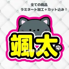 ALD1 アルノ ネームボード うちわ文字 1点 漢字 中国語 - メルカリ