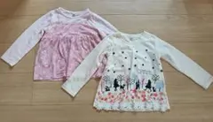 Item thumbnail for item 59535f6c-d2e2-406a-aa8e-1354b0c95d84