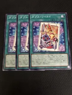 SUDA-JP065 ダブル・ワイルド　3枚