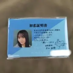 Item thumbnail for item eb7b3bee-bc4c-412e-82d3-13008d6652ac