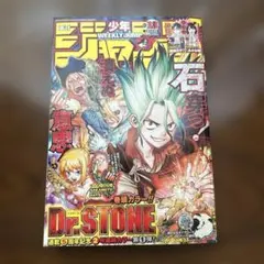 週刊少年ジャンプ 2022年13号 Dr.STONE