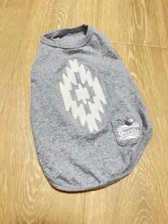 Item thumbnail for item 4cd4a3b5-a946-4588-99fb-a19cf2e8d1c2