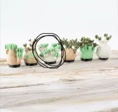 珍奇植物　キーホルダー　オトンナ　クラビフォリア