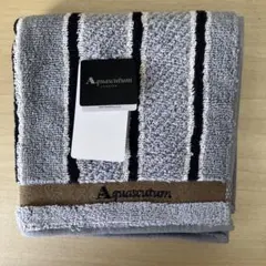 アクアスキュータム